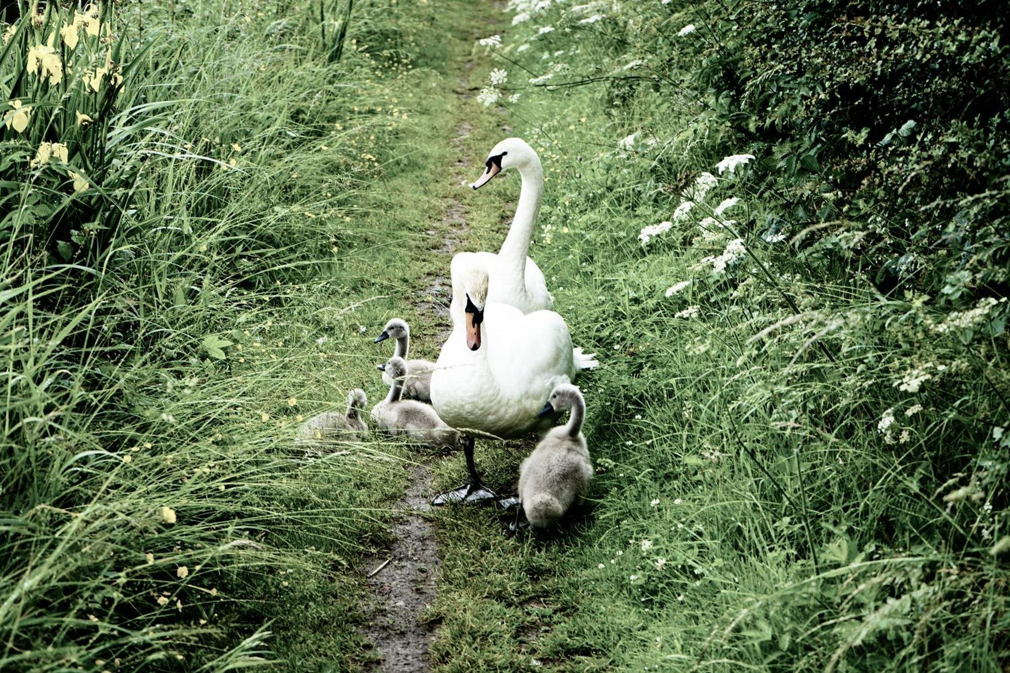 Duck Terrace With Gym Duckling Stays Kibworth Harcourt エクステリア 写真